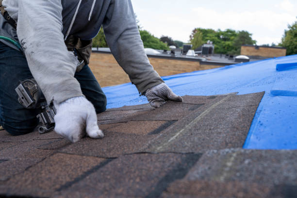 Best Residential Roofing Contractor  in La Blanca, TX