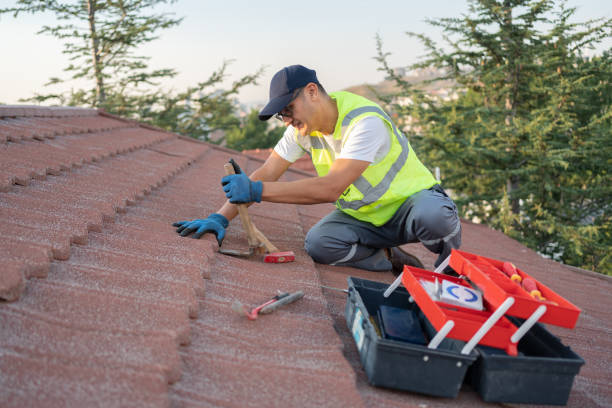 Best Storm Damage Roof Repair  in La Blanca, TX