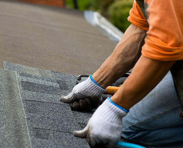 Best Roof Gutter Cleaning  in La Blanca, TX