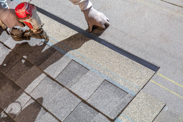 Best Local Roofing Companies  in La Blanca, TX