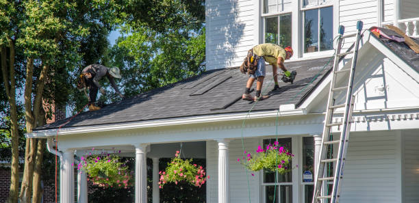 Best Metal Roofing Contractor  in La Blanca, TX